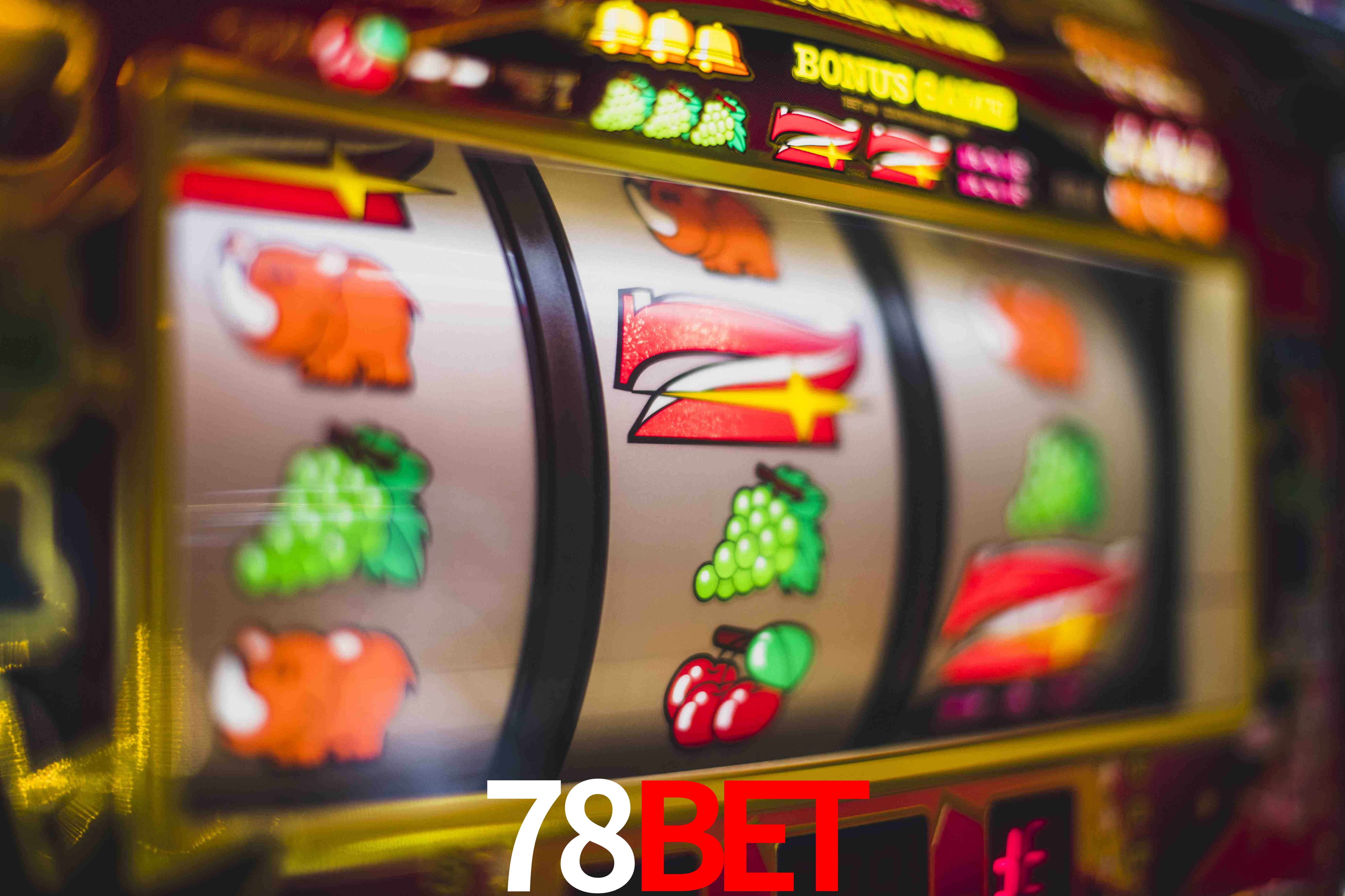 Sports Statistics 78Bet